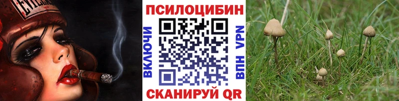 Псилоцибиновые грибы Magic Shrooms  ОМГ ОМГ   маркетплейс Telegram  Тутаев 